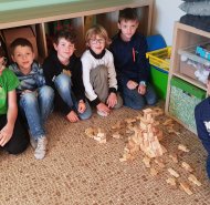 obrazek whatsapp 2024-05-23 v 09.36.19_3221eff2